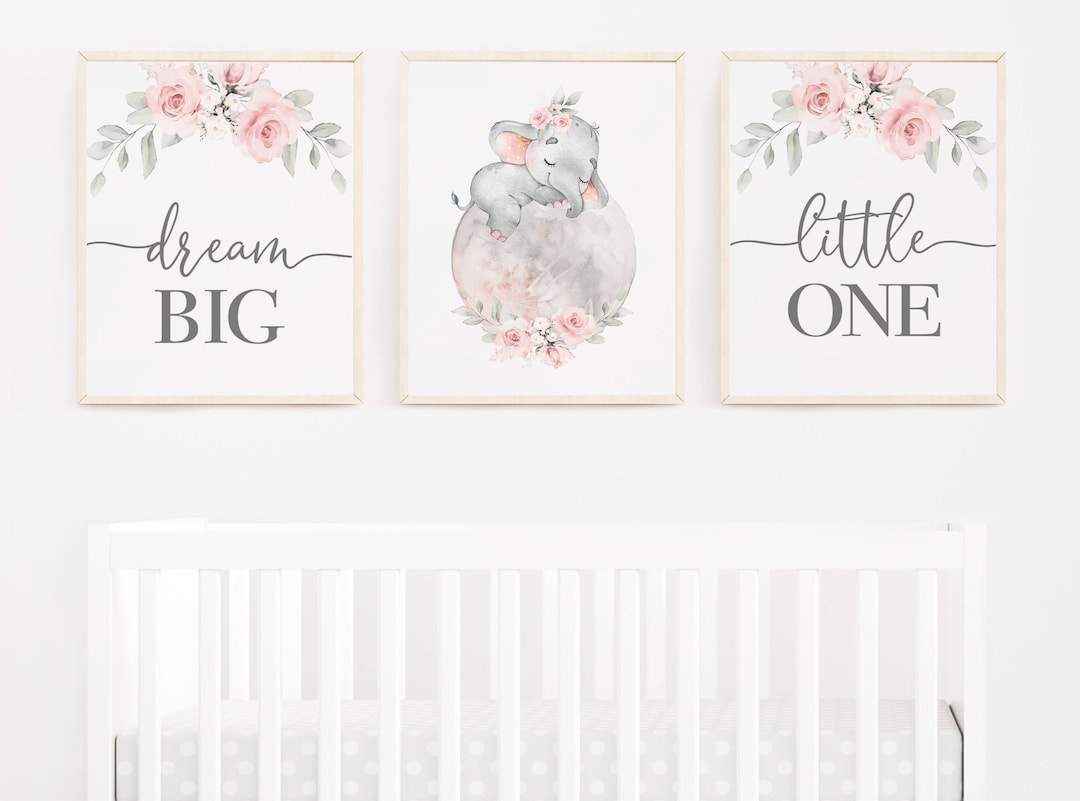 Baby Girl Elephant Wall Art- Elephant Nursery Wall Art - Floral ...