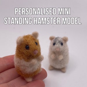 Personalised mini needle felt hamster models, made using your images. Mini hamster adoption gift box.