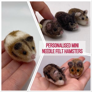 Personalised mini needle felt hamster model - made using your images. Mini hamster adoption gift box