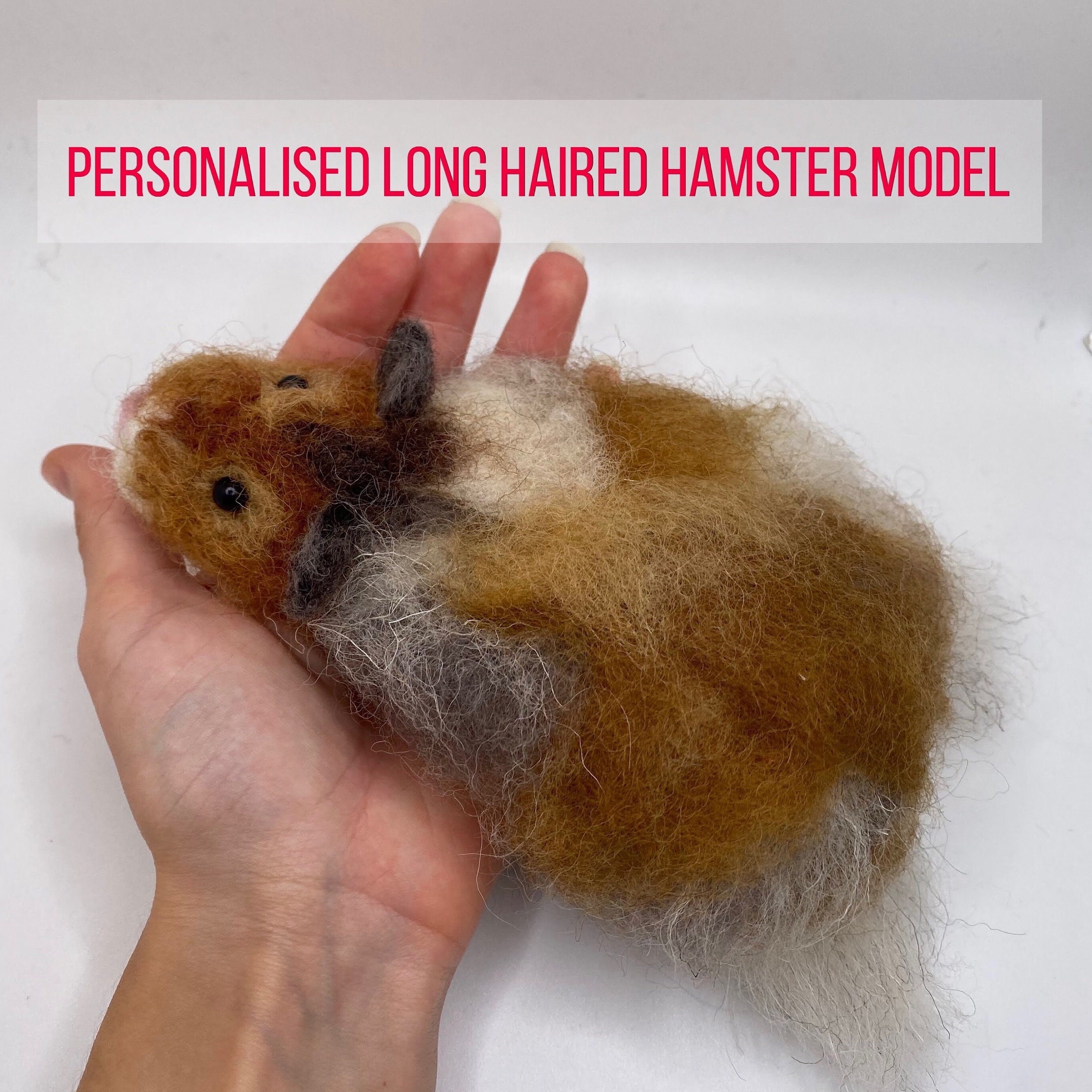 Syrian Short Coat Hamsters For Sale at Pet Lovers Centre Singapore