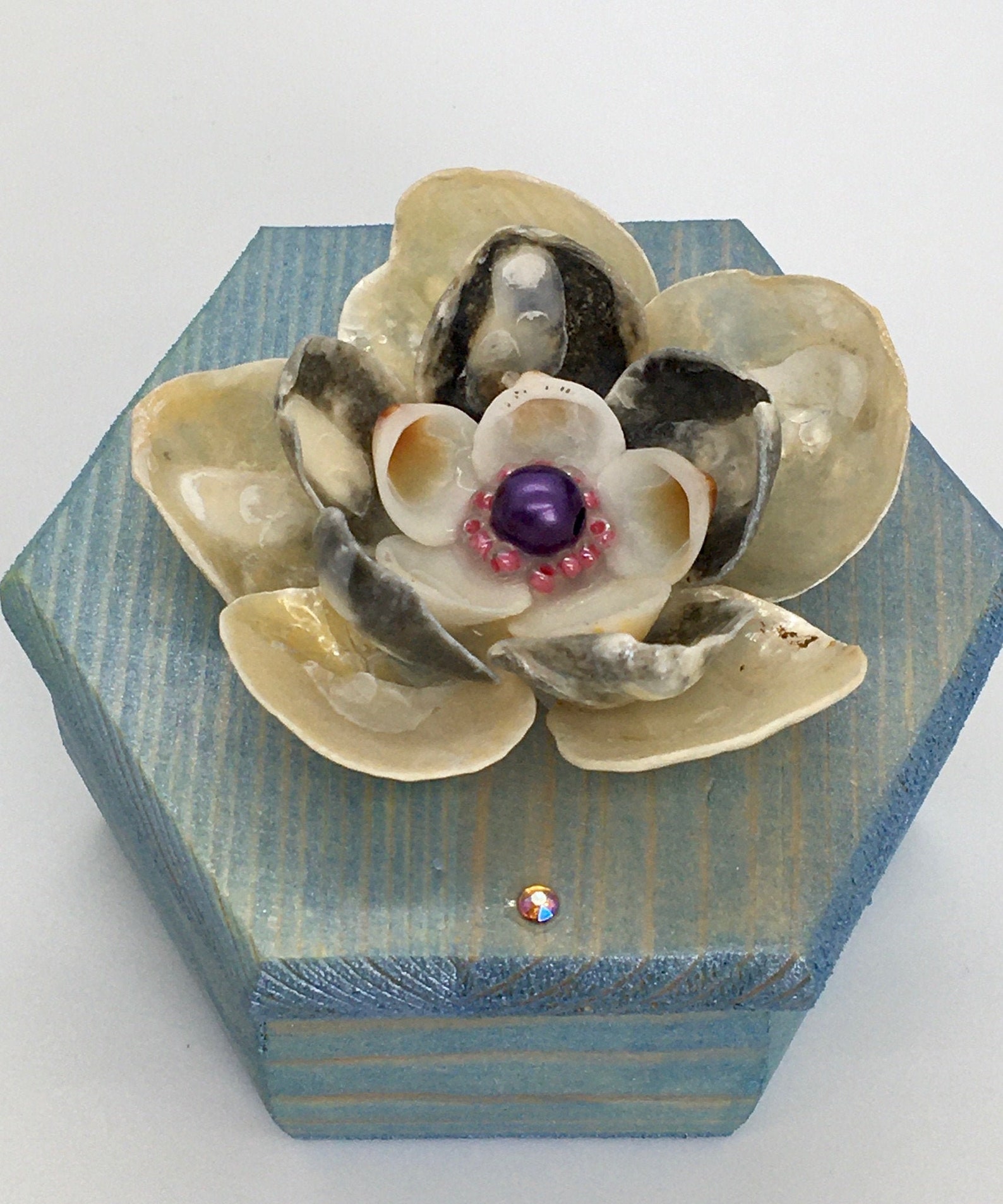 Small Sea Shell Jewelry Box Etsy