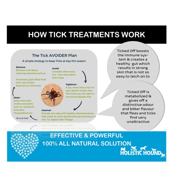 What Repels Ticks Naturally On Dogs
