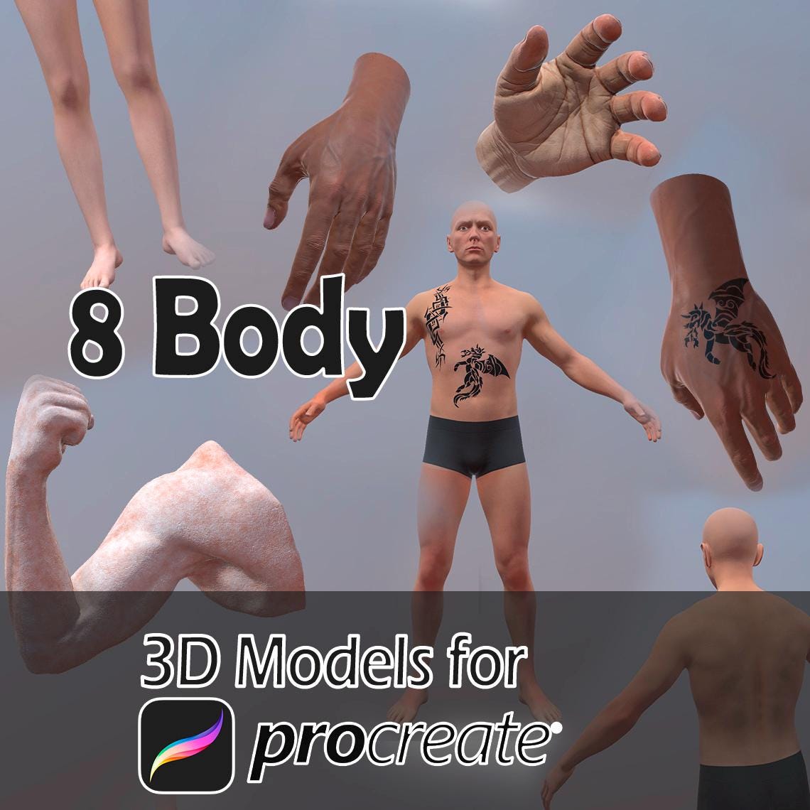 Procreate 3D Body Models: Human Anatomy Base (USDZ Digital Download)