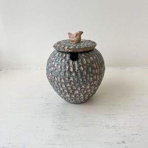 Op de afbeelding: Een handgemaakte, getextureerde keramische pot met een deksel. De pot is voornamelijk grijs met een patroon van kleine, verhoogde details en bruine accenten. Het deksel is bekroond met een kleine, bruine vogelvormige handgreep. Een decoratieve opbergpot.