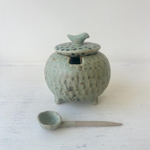 Piccolo barattolo danese in gres verde con coperchio a forma di uccellino e cucchiaino. Ceramica in gres.