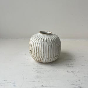 Peut inclure: Petit vase en céramique blanche avec un motif côtelé texturé. Le vase a une forme arrondie avec une ouverture étroite en haut. La surface présente un aspect légèrement moucheté, ajoutant à son charme rustique. Idéal pour les petites fleurs.
