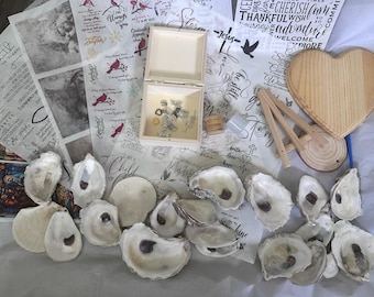 Kit de decoupage de conchas, kit de conchas DIY, kit de conchas de ostras, set de decoupage de ostras, adornos DIY, kit de manualidades hechas a mano, kit de manualidades