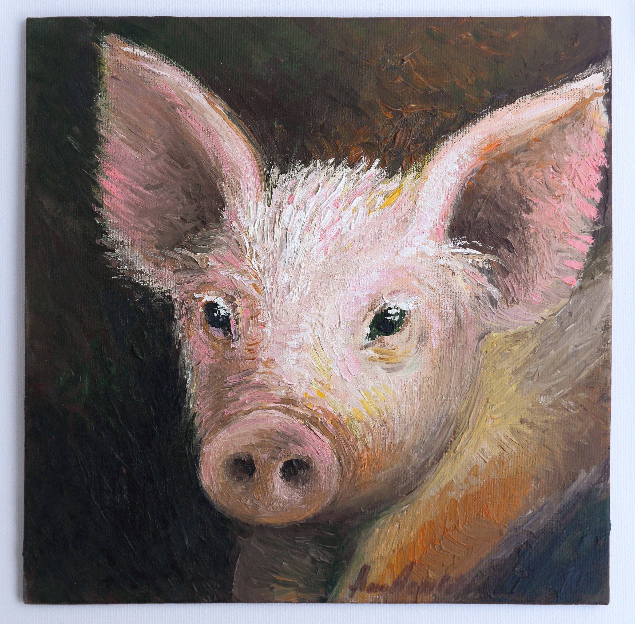 XBUMHOAL Leinwandbild Schwein Mit Brille, Bauernhoftierdrucke,  Wanddekoration, Mehrfarbig, Abstrakt, Matte, Ungerahmt, 40.6L X 40.6B Cm,  Für Mehrere Räume, image size:2700x2655