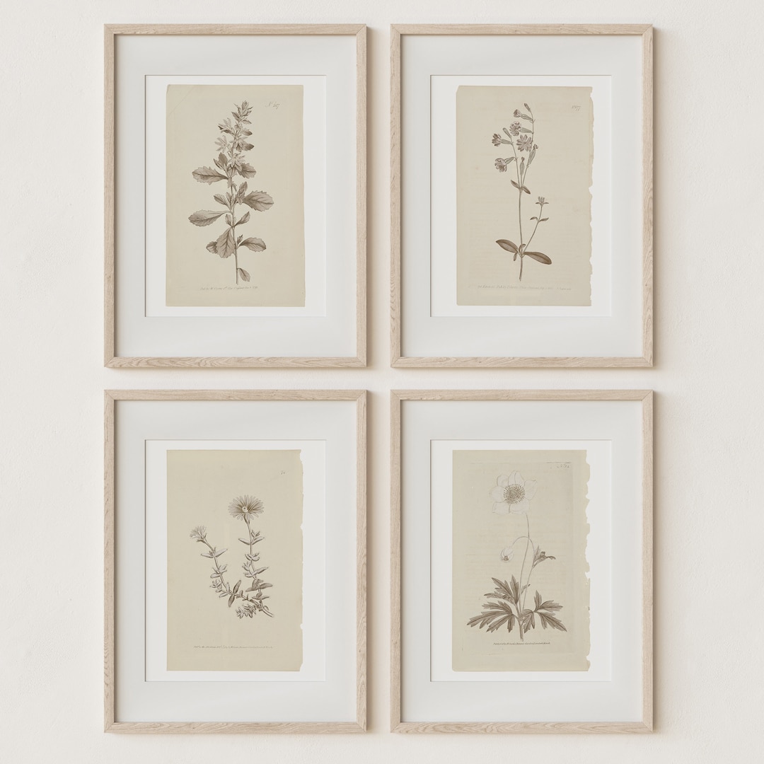 Set of 4 Botanical Prints in French Gray | Vintage Farmhouse Wall Decor ...
