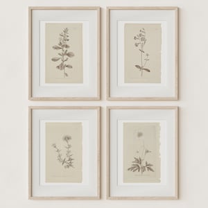 Set of 4 Botanical Prints in French Gray | Vintage Farmhouse Wall Decor | DIGITAL Prints Instant Download | Antique Wall Art | Home Decor