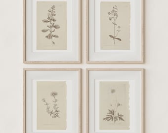 Etsy prints online