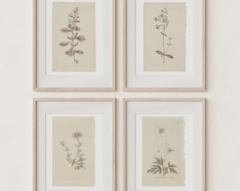 Set of 4 Botanical Prints in French Gray | Vintage Farmhouse Wall Decor | DIGITAL Prints Instant Download | Antique Wall Art | Home Decor