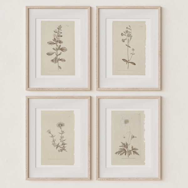 Set of 4 Botanical Prints in French Gray | Vintage Farmhouse Wall Decor | DIGITAL Prints Instant Download | Antique Wall Art | Home Decor