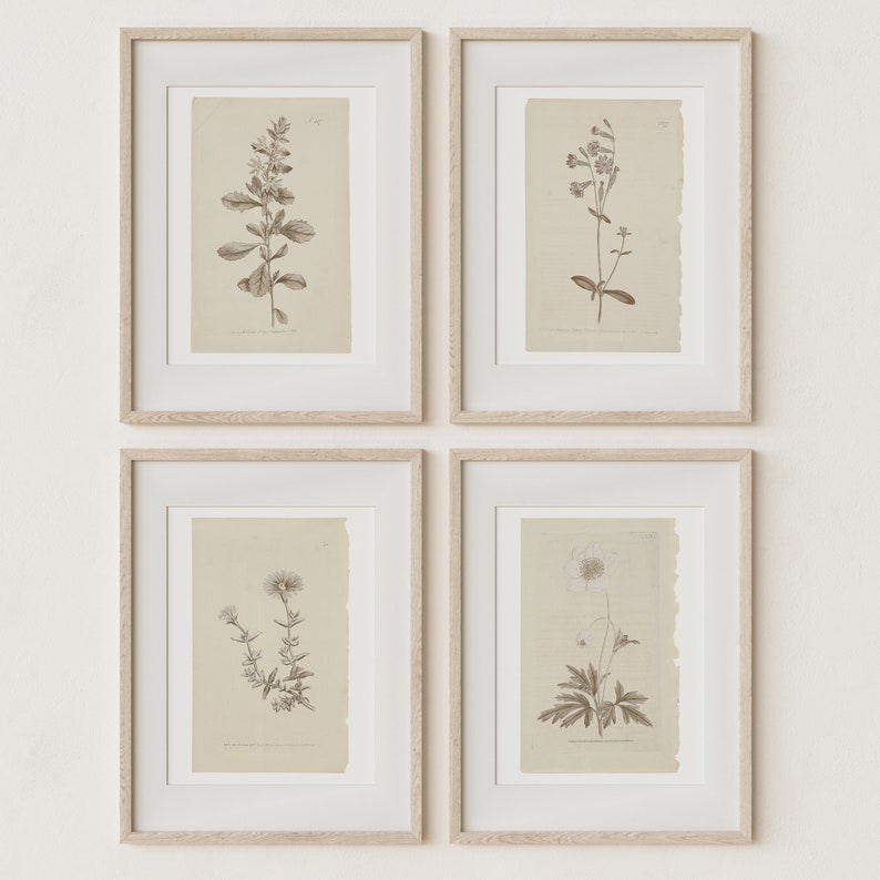 Set of 4 Botanical Prints in French Gray | Vintage Farmhouse Wall Decor | DIGITAL Prints Instant Download | Antique Wall Art | Home Decor 