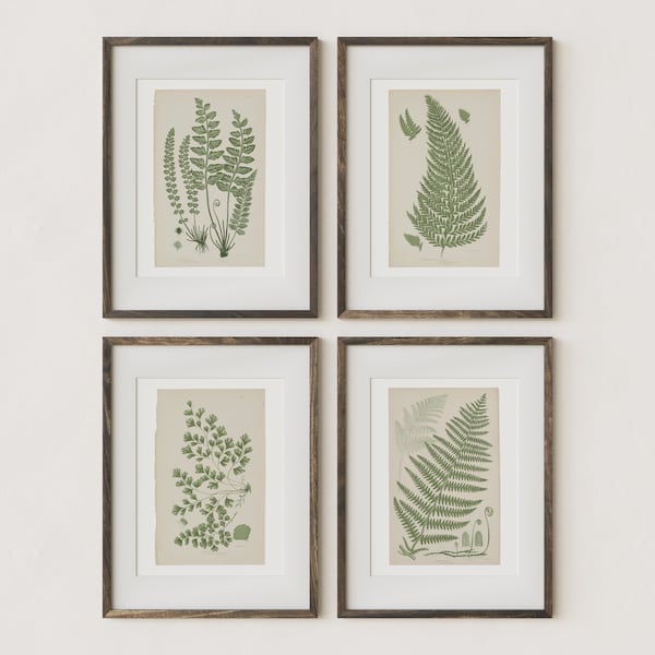 Vintage Fern Botanical Gallery Wall Print SET of 4 | Rustic Wall Decor PRINTABLE | Farmhouse Wall Art in Green | Downloadable Art