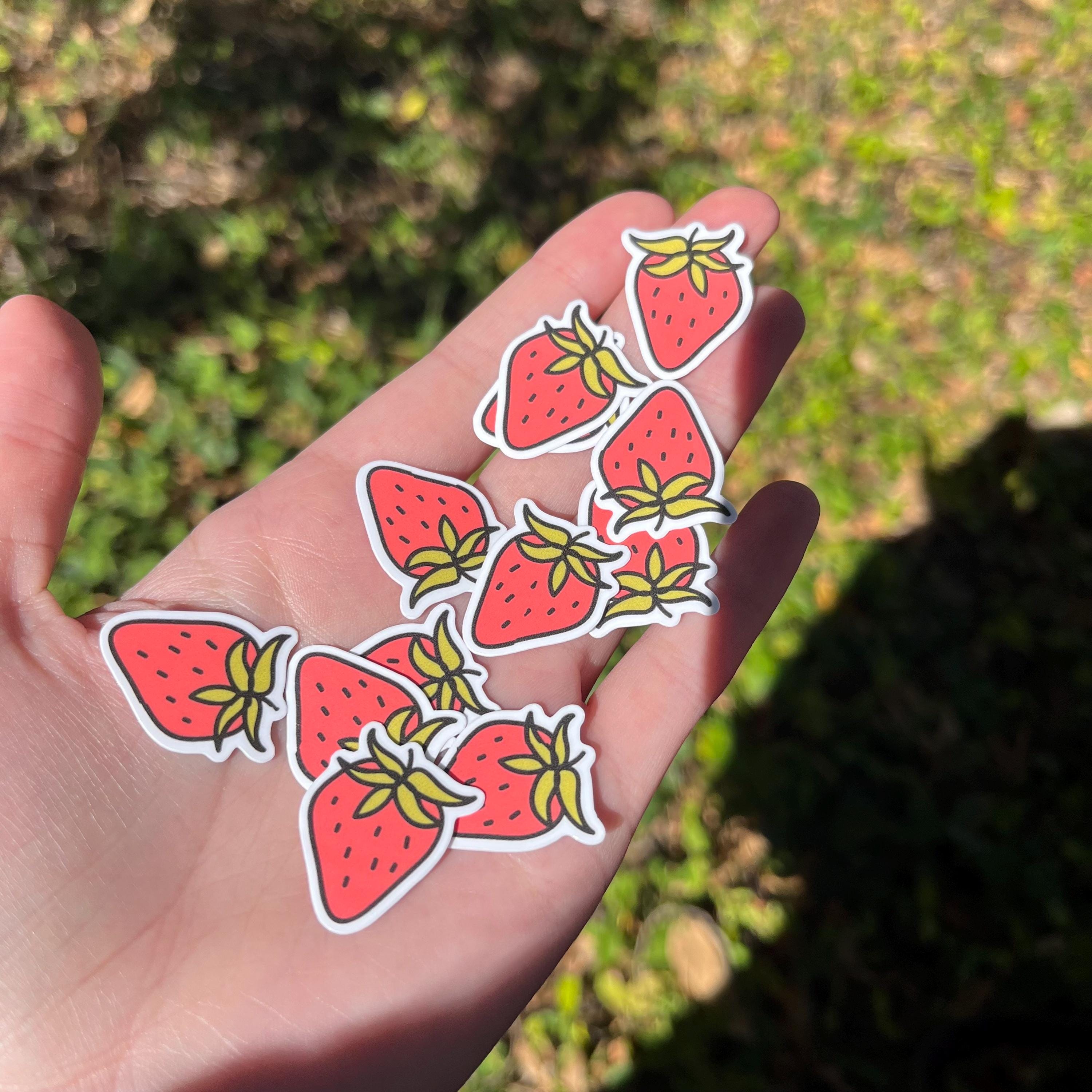 Mini Strawberries Sticker Pack 12 PC | Aesthetic Stickers for Journals, Scrapbooking, Laptops, Mini Sticker Pack, Pinterest, Kindle