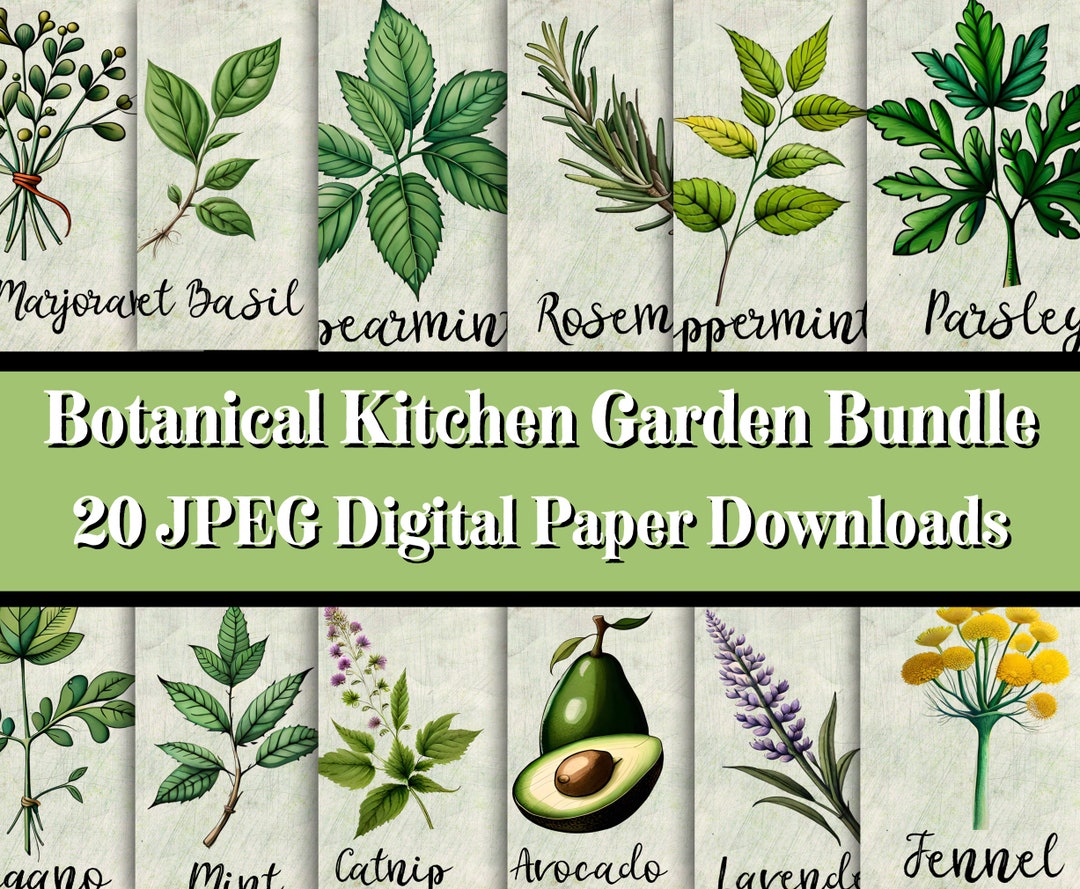 Printable Kitchen Herb Images 20 JPEG Digital Pictures of Kitchen ...