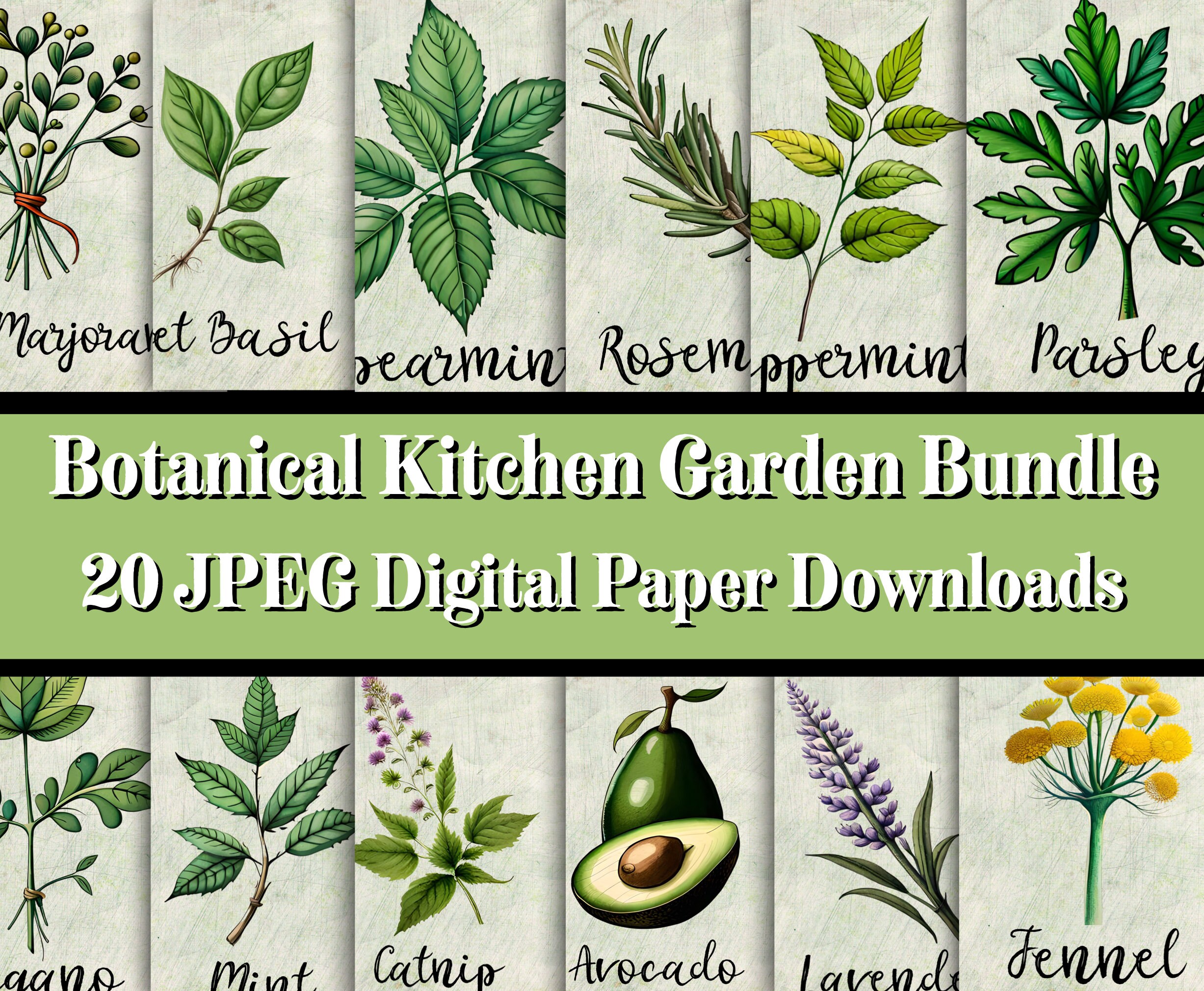 Printable Kitchen Herb Images 20 JPEG Digital Pictures of Kitchen ...