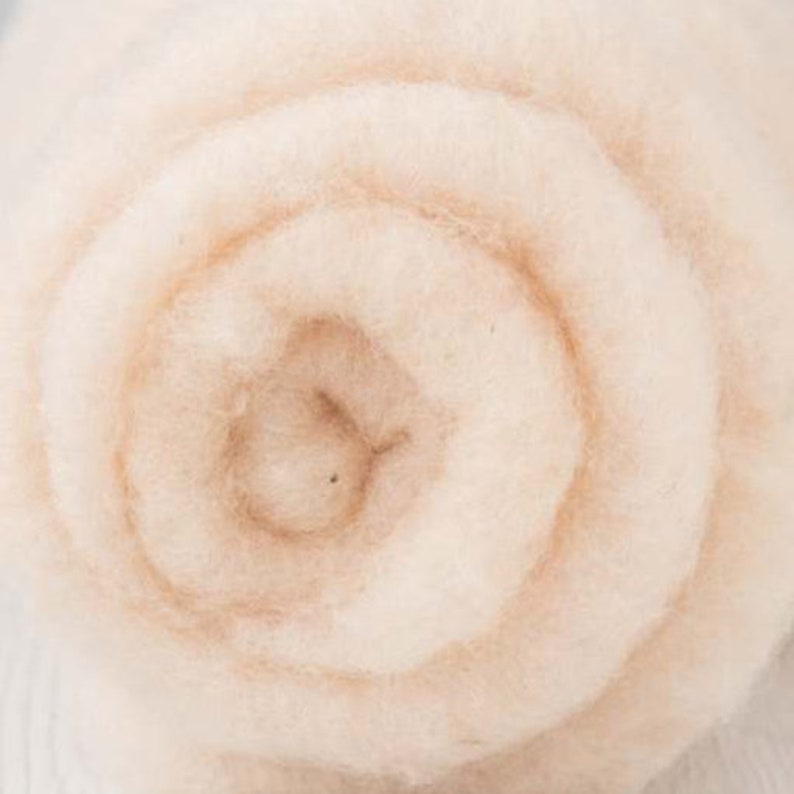 May include: Close-up of a light beige wool roving, rolled into a spiral shape. The wool is soft and fluffy, with a subtle brown hue.