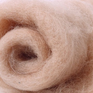 May include: A close-up of a light brown wool roving, a type of fiber used for felting and spinning.