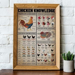 Huhn Wissen Poster, Hühnerrassen Der Welt Druck Poster Wand Kunst Wohnkultur, Poster kein Rahmen