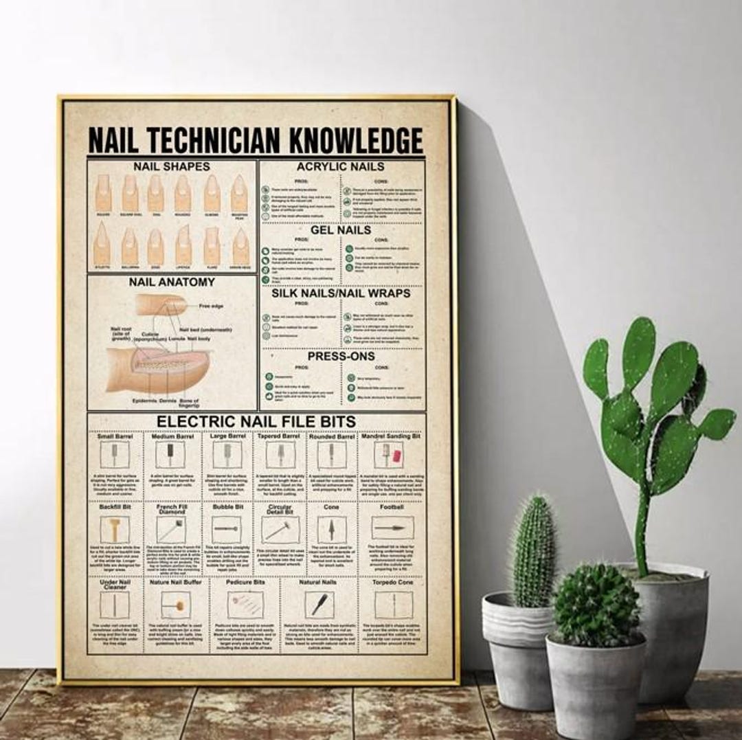 Nail Technician Knowledge Poster, Nail Anatomy, Nail Shapes Knowledge ...