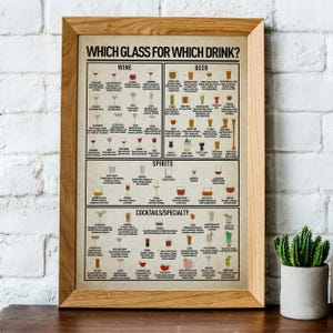 May include: A framed print titled "WHICH GLASS FOR WHICH DRINK?" shows illustrations of different glasses for wine, beer, spirits, and cocktails. The print is in a light-coloured wooden frame, with a cactus in a grey pot in the lower right corner.
