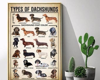 Types of Dachshunds Poster - Wall Art Home Decor (Unframed) For the Dachshund Lovers