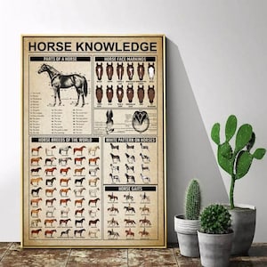 Horse Knowledge Poster, Parts Of Horses, Horse Breeds Of The World, Horse Face Making And More Other Information Poster, Poster No Frame