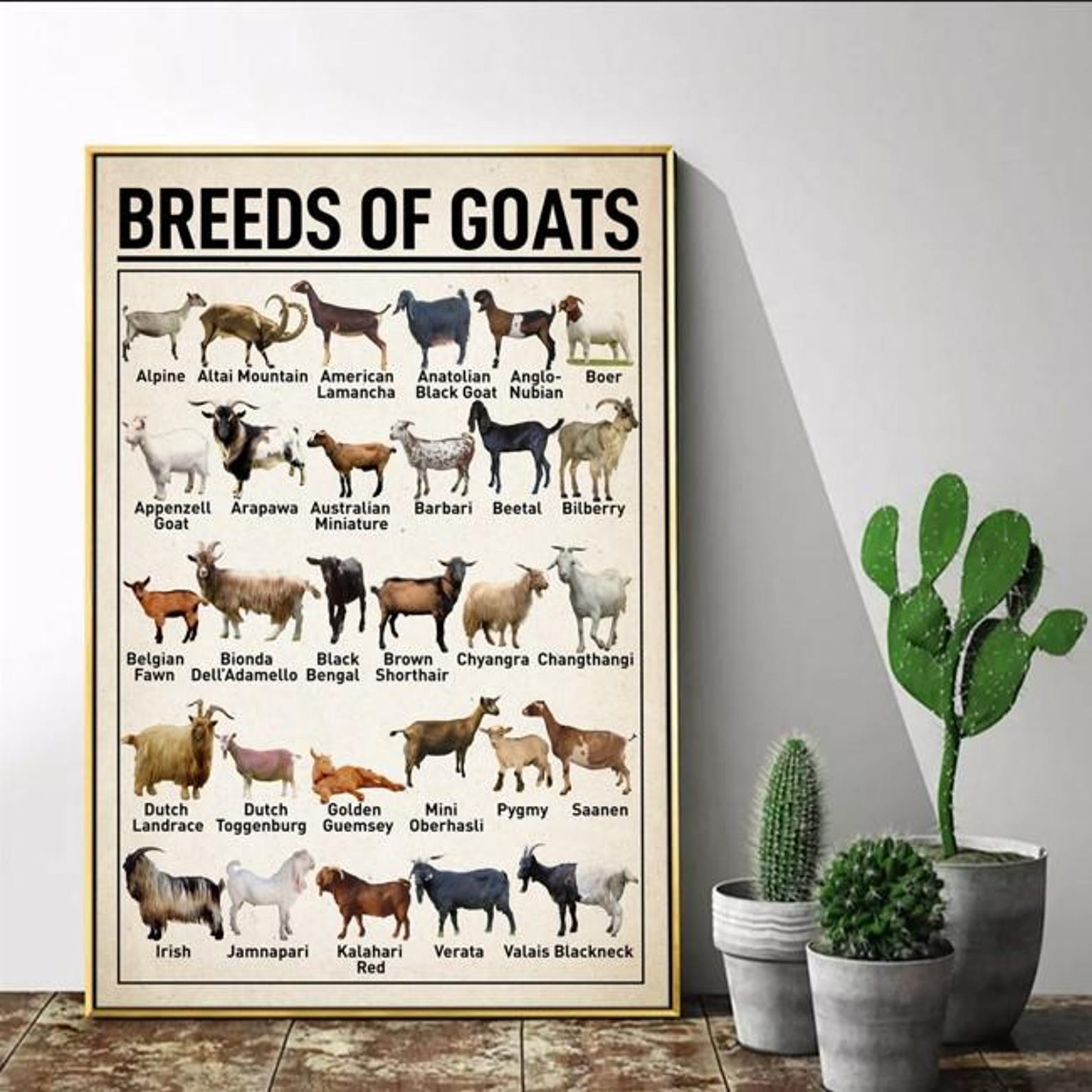 Breeds of Goats Knowledge Poster, Types of Goats Wall Art Home Decor ...