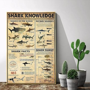 Shark Knowledge, version 2, Shark of The World Knowledge Poster Wall Art Home Decor, Poster No Frame