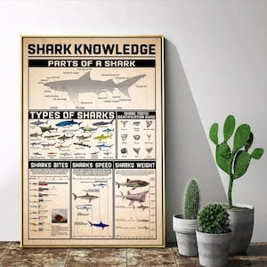 Shark Knowledge, Types of Sharks, Shark Tooth,Shark Bites, Shark Speed, Shark Weight Knowledge Poster Wall Art Home Decor, Poster No Frame