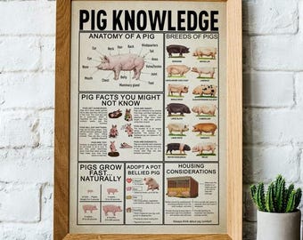 Pig Knowledge Poster, Breeds of Pigs, Pig Facts Knowledge Poster,Gift For Animal Lovers, Poster No Frame