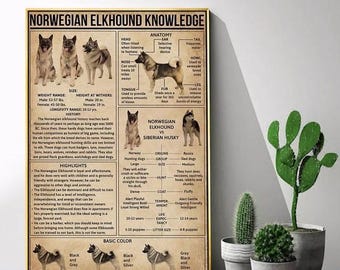 Norwegian Elkhound Dog Knowledge Poster | Anatomy, Fun Facts & History Wall Art for Dog Lovers, Unframed Poster