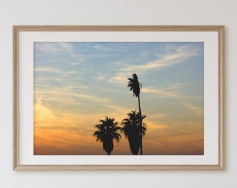 X Palm Trees Silhouettes with a Stunning Sunset ~ Tel Aviv Photography Print ~ Fine Art Photo ~ Original Artwork Photo Print For Living Room