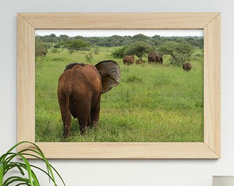 X Elephant Booty Fine Art Print ~ Photographic Prints ~ Original Artwork ~ Animals in Nature ~ Photograph for Beautiful Spaces ~ Work of Art