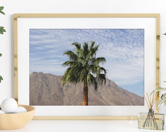 X A Beautiful Palm Tree Original Photograph to bring in some Color & Nature Love into every Space ~ Art Photography Original Artwork Prints