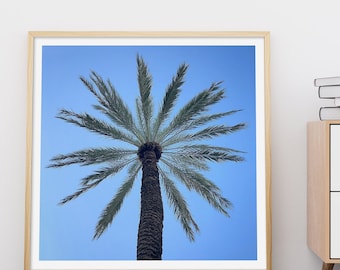Palm Tree Photography Print With Blue Skies ~ Tel Aviv Colored Photo ~ Original Artwork to Beautify any Space ~ Work of Art by Bali Moore (: