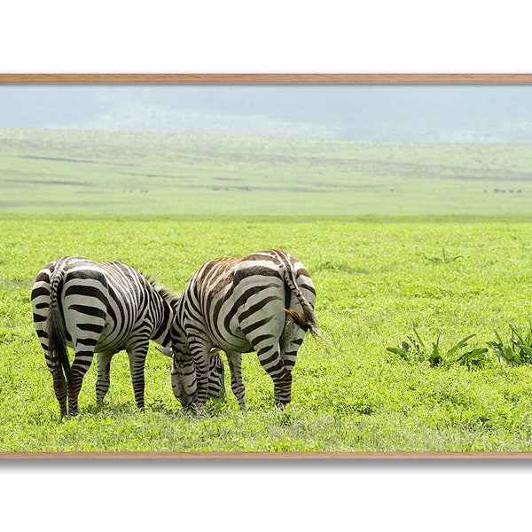 X Zebra Couple Photo Print ~ Zebras Romance Fine Art Photographic Prints Original Artwork Animals in Nature ~ Photograph for Designed Spaces