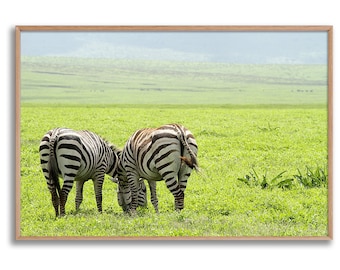 X Zebra Couple Photo Print ~ Zebras Romance Fine Art Photographic Prints Original Artwork Animals in Nature ~ Photograph for Designed Spaces