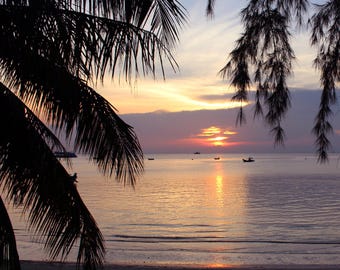 Golden Thai Sunset Beach Photo, Koh Tao Tropical Wall Art, Palm Leaf Photography (Digital Download)
