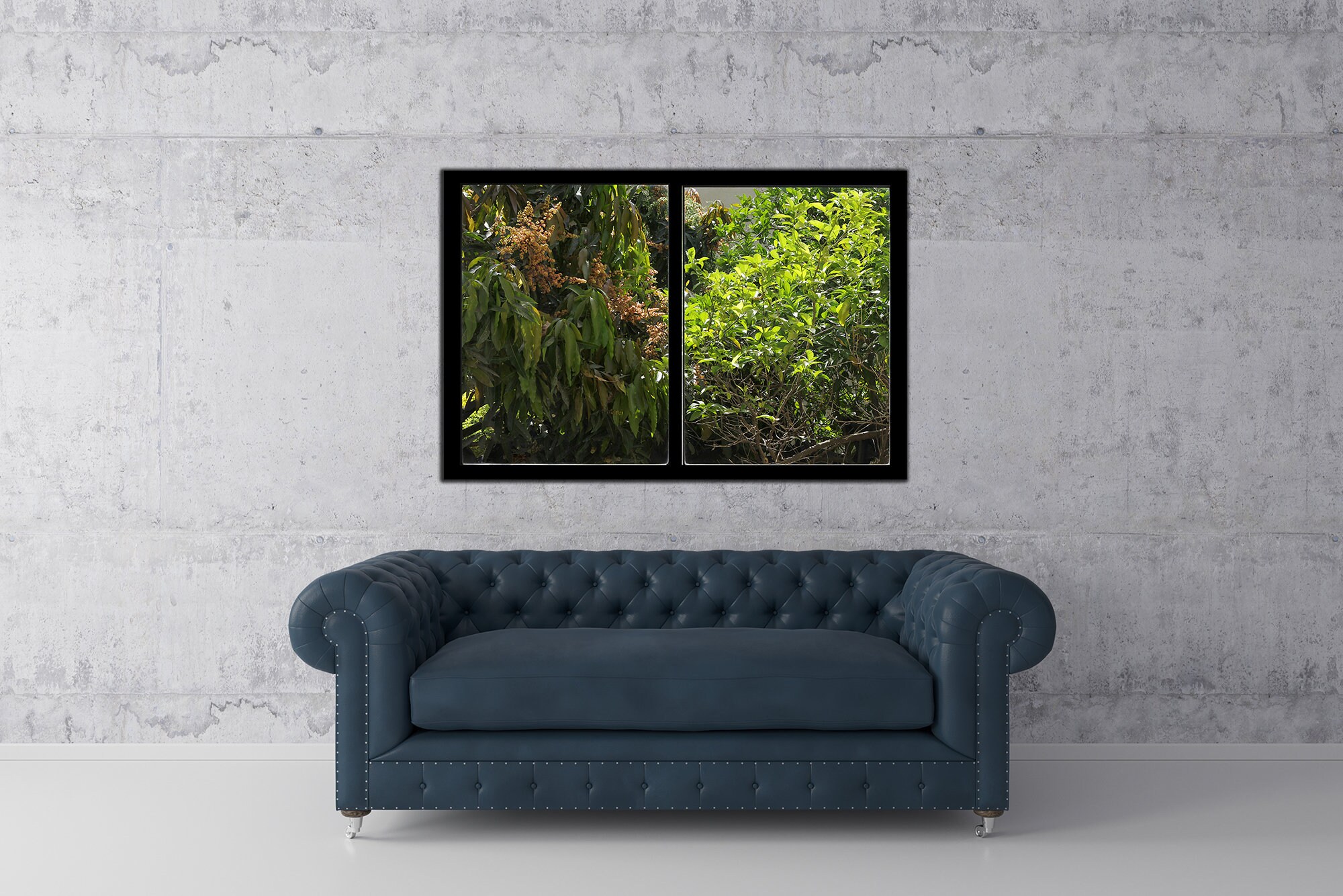 X Window View Photo Print ~ Mango Tree and Orange Tree Picture Through ...