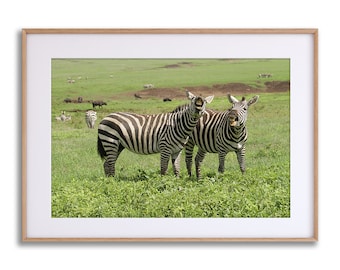 X Zebra Fine Art Print ~ Photographic Prints ~ Original Artwork Animals in Nature ~ Photograph for Beautiful Spaces ~ Zebras Laughing Funny