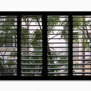 An Extra Window for Your Home or Office (-, Window View Photography Print ~ Fine Art Photo ~ Wall Print For Living Room ~ Original Artwork