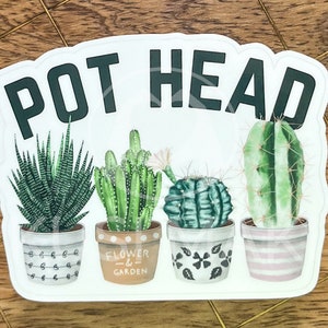 Könnte beinhalten: Ein weißer Aufkleber mit dem Text "Pot Head" in schwarzen Buchstaben. Der Aufkleber zeigt vier Topfpflanzen mit verschiedenen Designs. Die Sukkulenten sind grün, braun und weiß.