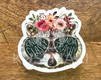 Trash panda Sticker, raccoon sticker, punny sticker, sticker, Laptop Sticker, Notebook sticker, water bottle sticker, phone case sticker