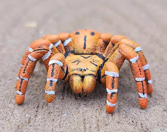 OBT Orange Baboon Tarantula- Pterinochilus Murinus - Hand Painted