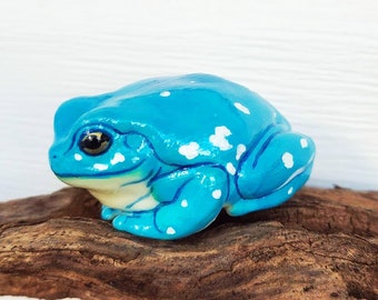 Blue Snowflake Australian White's Tree Frog / Dumpy - Frog Nugget