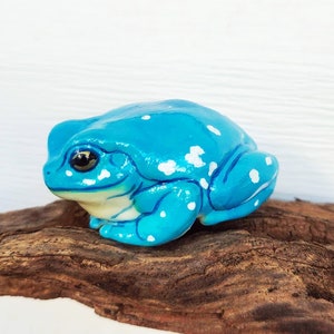 May include: A blue and white ceramic frog figurine with white spots. The frog is sitting on a piece of driftwood.