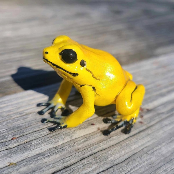 Golden Dart Frog- Hand painted Resin Frog Figurine